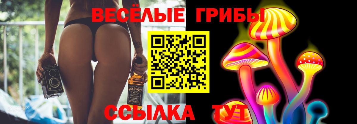 Псилоцибиновые грибы ЛСД  Галлюциногенные грибы мицелий  Каменка  Вход с VPN 
